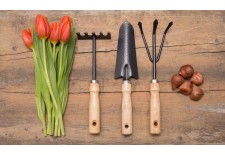 Tools and equipment for gardening and horticulture