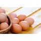 Poultry eggs