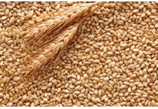 Зернові та продукти із зернових