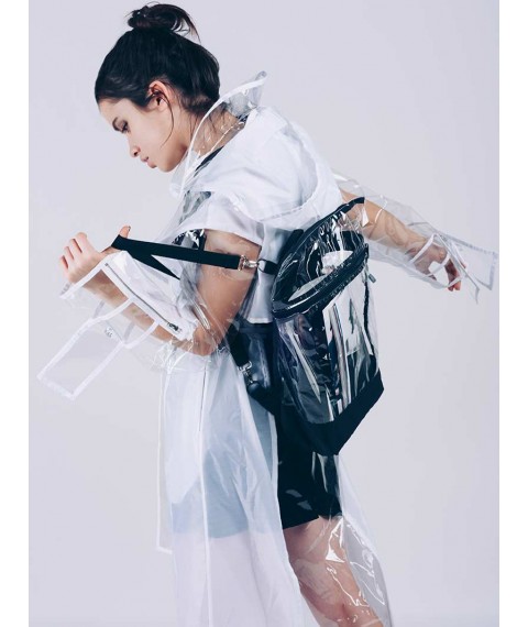 Backpack with transparent inserts