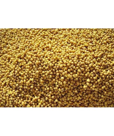 Массажная подушка с семенами горчицы на кресла 50х50 см.