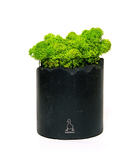 Flowerpot Cylinder Middle Form Black Moss 01