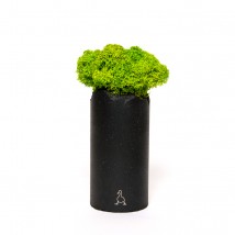 Flowerpot Cylinder Moss Black 01