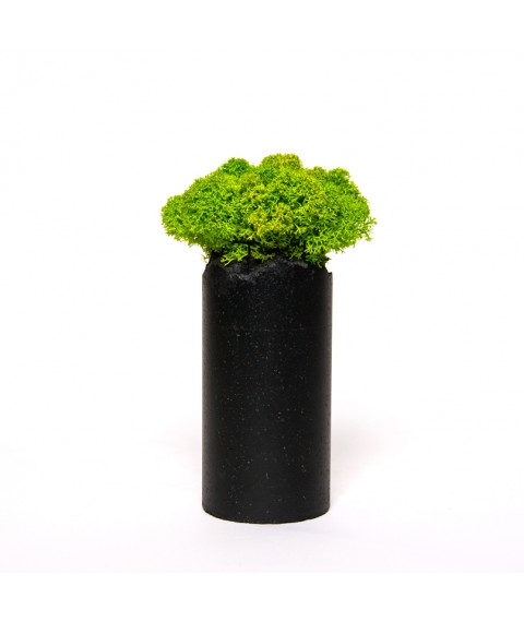 Flowerpot Cylinder Moss Black 01