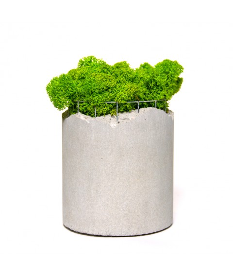 Flowerpot Cylinder Middle Form Moss 01