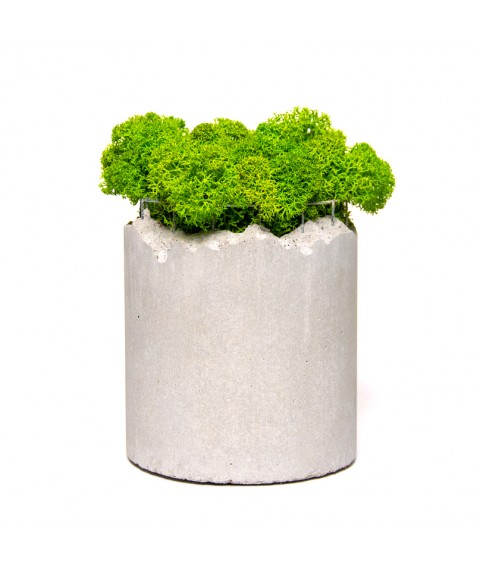 Flowerpot Cylinder Middle Form Moss 01