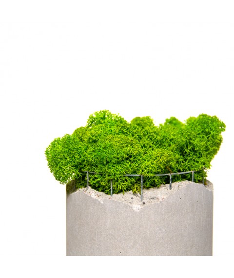 Кашпо Cylinder Middle Form Moss 01
