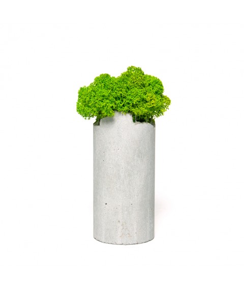 Flowerpot Cylinder Moss 01