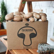 Brown  Mushrooms growing 