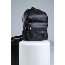 Bagster backpack from handmade genuine leather (STEG6s5G)
