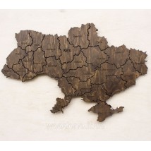 Map of Ukraine on the wall toned with plywood