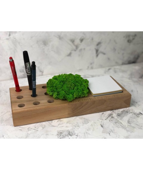 Wood organizer with moss