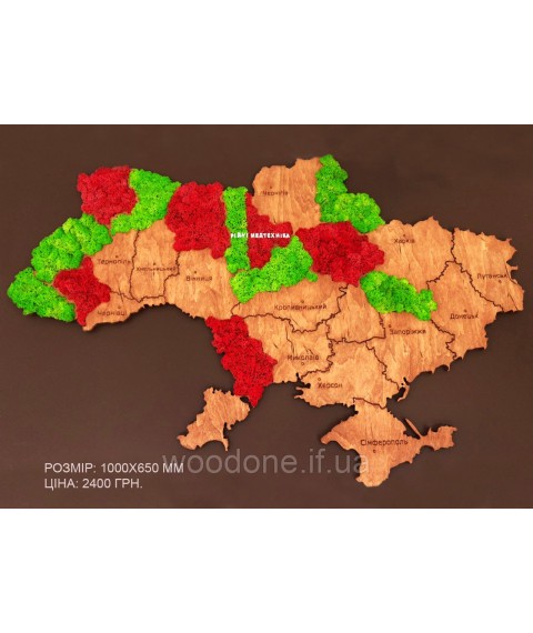 Карта Украины на стену с фанеры и мха