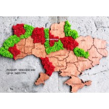 Karte der Ukraine an einer Wand mit Sperrholz und Moos