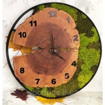 Clock in metal rim and moss (diameter up to 30 cm)