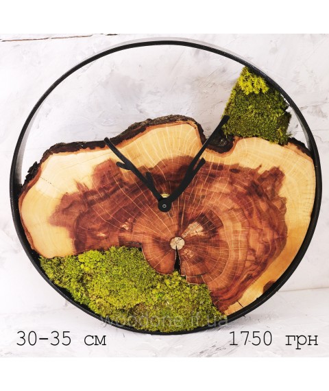 Часы в металлической ободке из мхом (диаметр 30-35 см)
