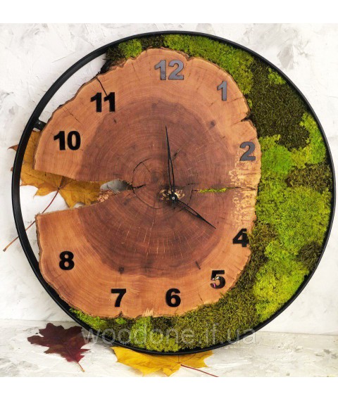 Часы в металлической ободке из мхом (диаметр 30-35 см)