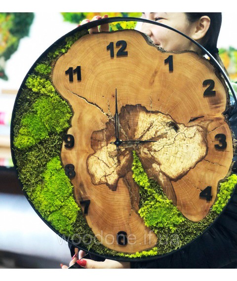 Clock in a metal bezel and moss (diameter 45-50 cm)
