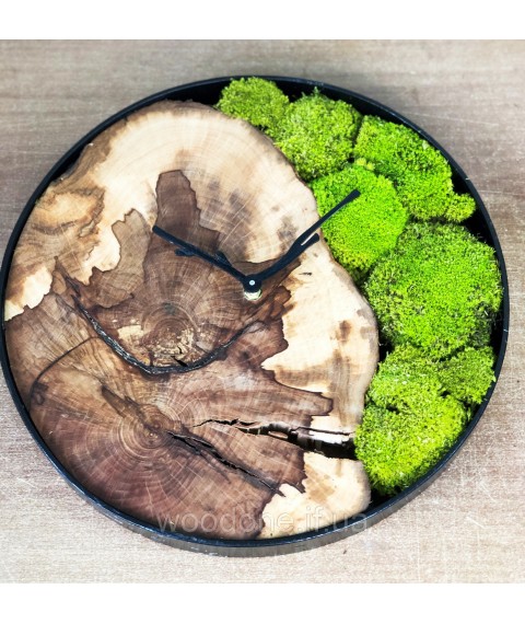 Clock in a metal bezel and moss (diameter 45-50 cm)