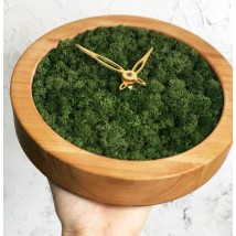 Часы настенные МОХ с мхом диаметр 20 см
