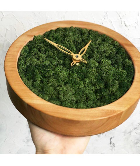 Часы настенные из мхом диаметр 25 см