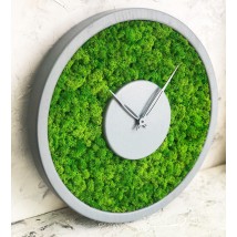 Wall clock MOX with moss diameter 40 cm