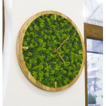 Wall clock MOX with moss diameter 70 cm