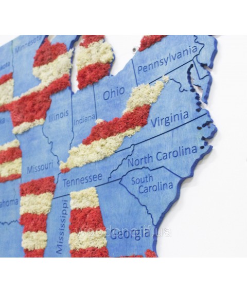 Карта США на стену с фанеры и мха