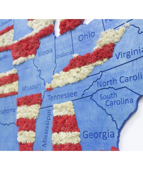 USA Karte an einer Wand mit Sperrholz und Moos