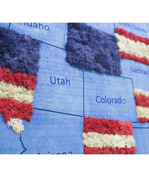 Карта США на стену с фанеры и мха