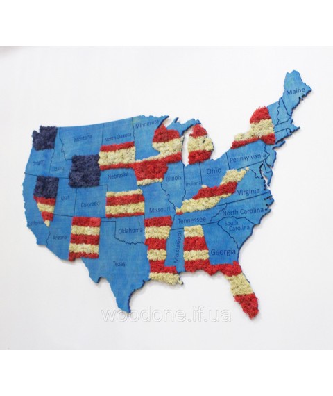 USA Karte an einer Wand mit Sperrholz und Moos