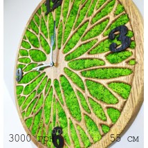 Часы настенные деревянные с мхом  диаметр 55 см