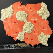 Poland map on a wall with plywood and moss