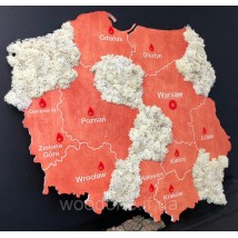 Polen Karte an einer Wand mit Sperrholz und Moos
