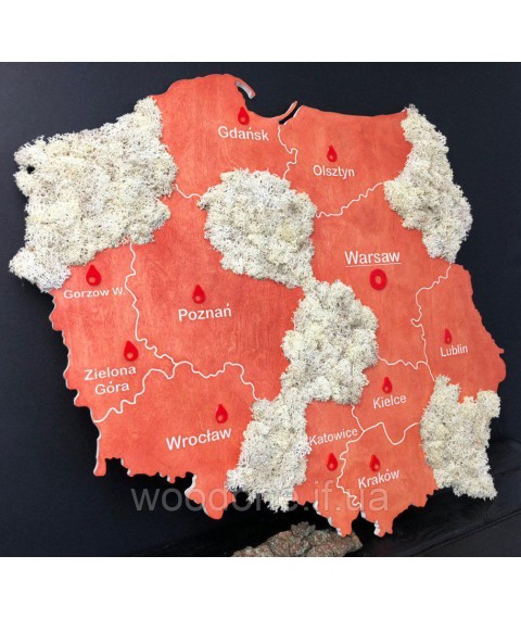 Карта Польшы на стену с фанеры и мха