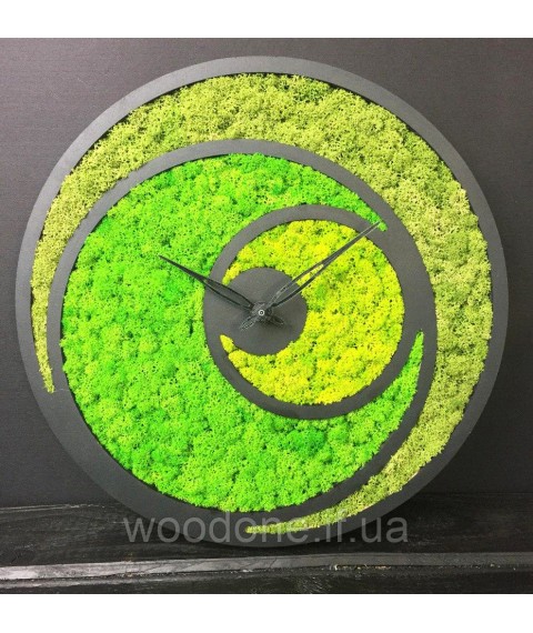 Wall clock with moss diameter 30 cm