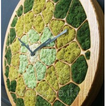 Wall clock &quot;SOTY&quot; wooden with moss diameter 40 cm
