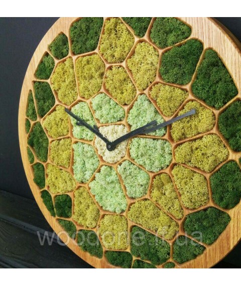 Wall clock &quot;SOTY&quot; wooden with moss diameter 40 cm
