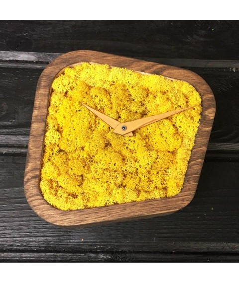 Designer table clock with moss (15 * 15 * 4 cm)