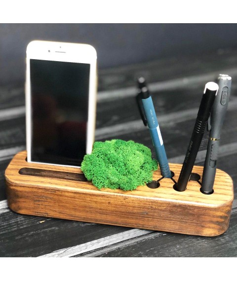 Organizer with MXA (with moss)