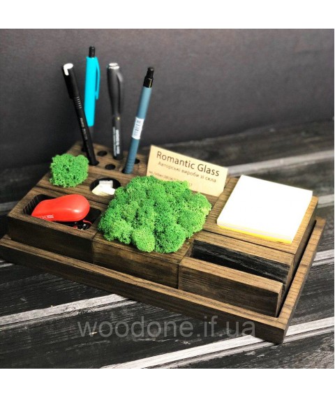 Organizer for stationery with moss
