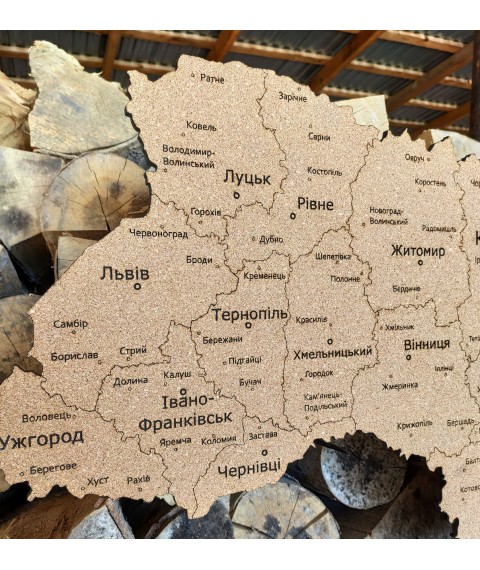Пробковая карта Украины