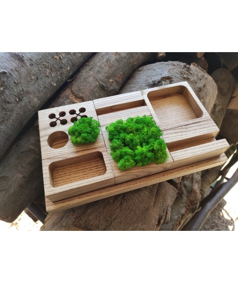 Organizer for stationery with moss
