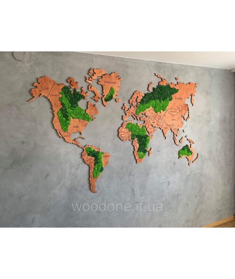 Карта мира деревяная со мхом