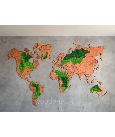 Wood world map with moss