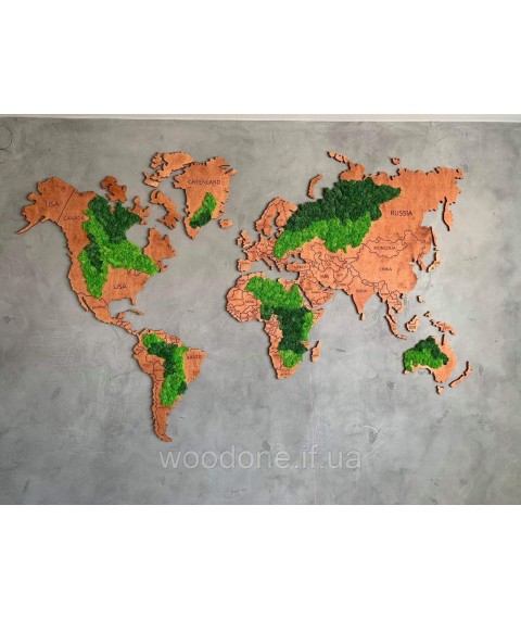 Карта мира деревяная со мхом