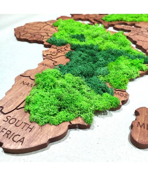 Moss world map. Decor for home office. Moss original gift