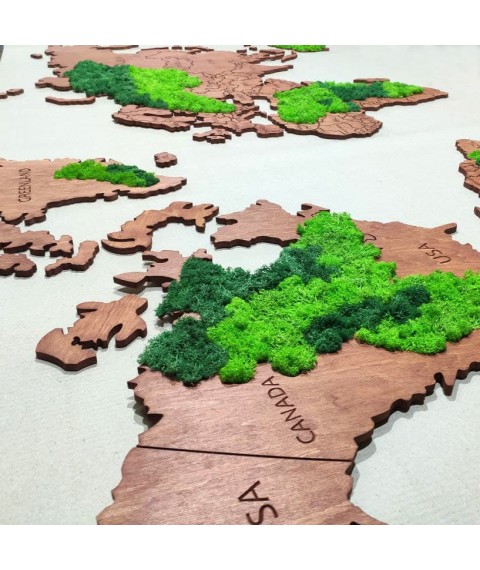 Moss world map. Decor for home office. Moss original gift