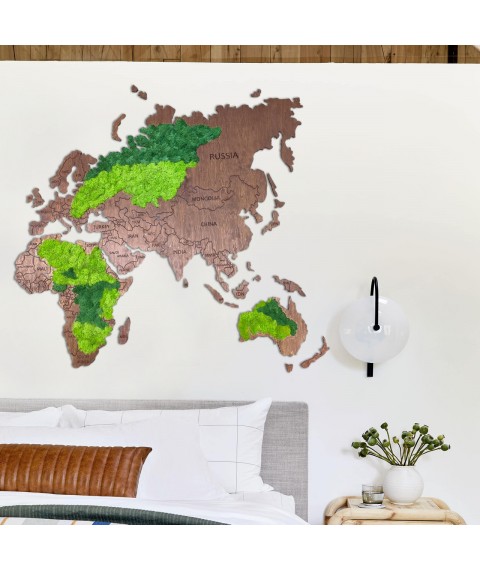 Карта мира из мхом. Декор для дома офиса. Оригинальный подарок из мха
