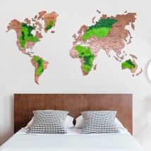 Карта мира из мхом. Декор для дома офиса. Оригинальный подарок из мха